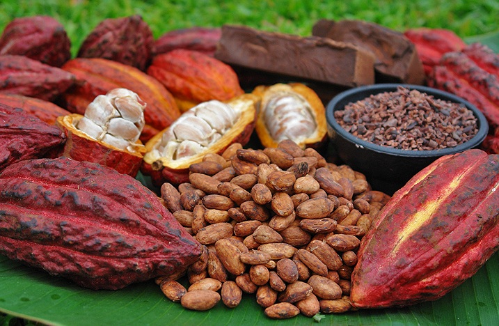 cacao powder health benefits