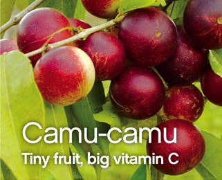 Camu Camu with Vitamin C