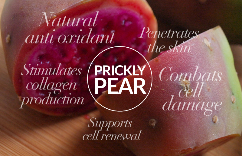 Prickly Pear benefits for skin