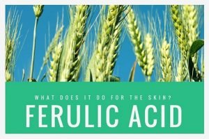 skin care benefits of Ferulic Acid - Anti aging products